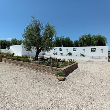 Tenuta Viale Degli Ulivi San Martino in Pensilis Exteriér fotografie