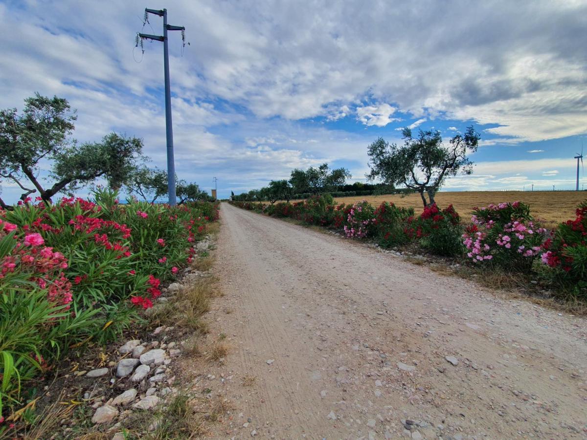 Tenuta Viale Degli Ulivi San Martino in Pensilis Exteriér fotografie