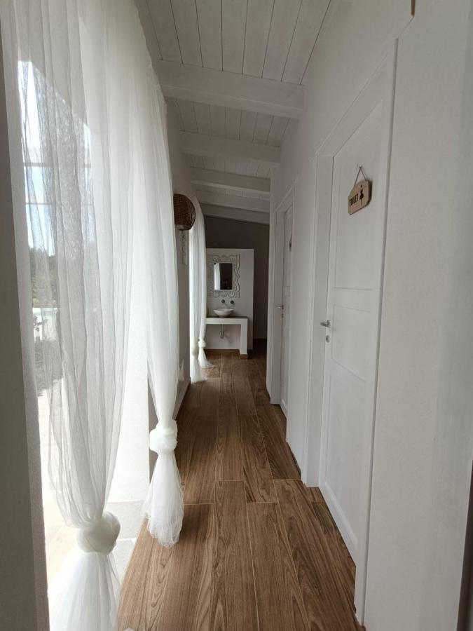 Tenuta Viale Degli Ulivi San Martino in Pensilis Exteriér fotografie
