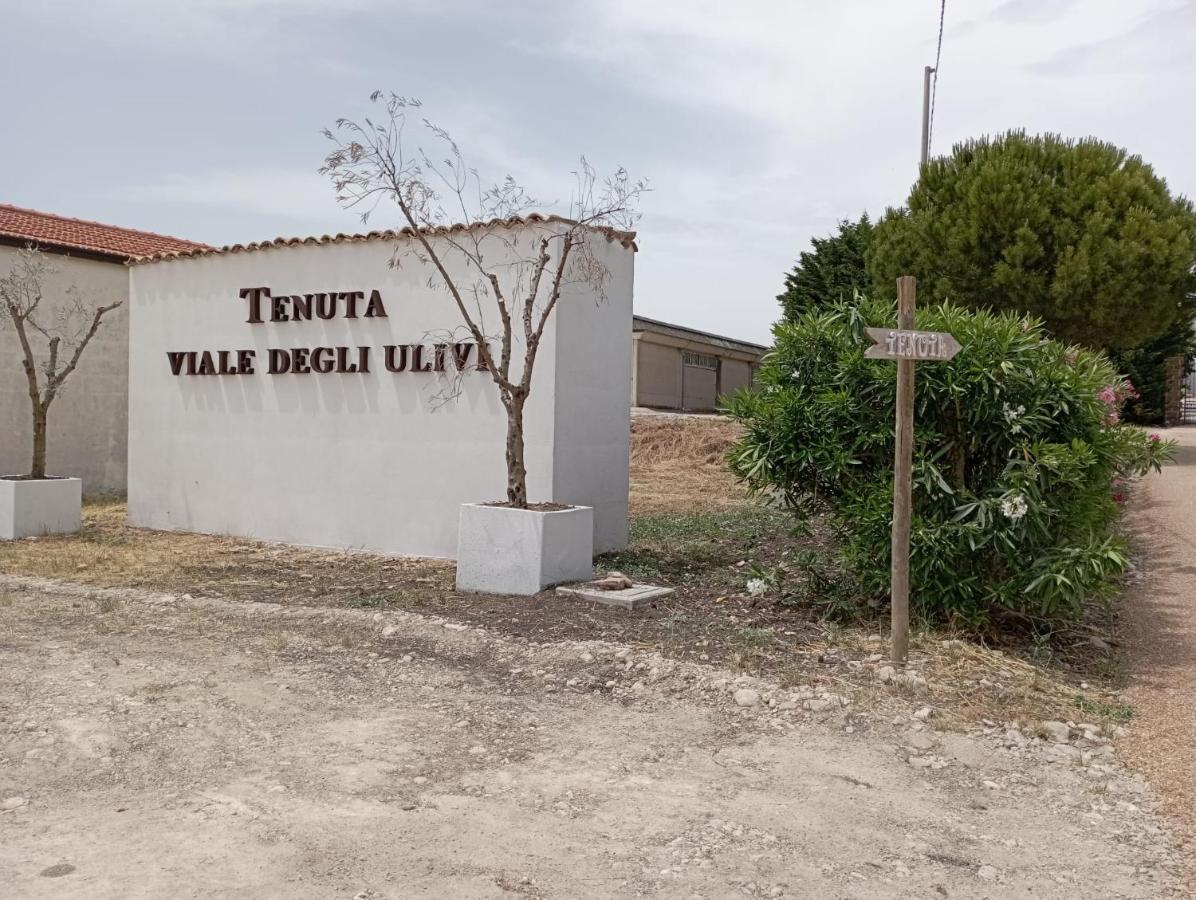 Tenuta Viale Degli Ulivi San Martino in Pensilis Exteriér fotografie