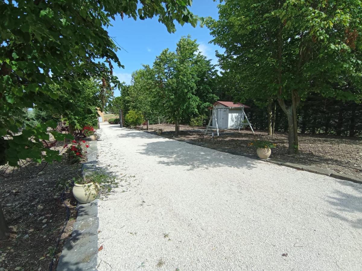 Tenuta Viale Degli Ulivi San Martino in Pensilis Exteriér fotografie