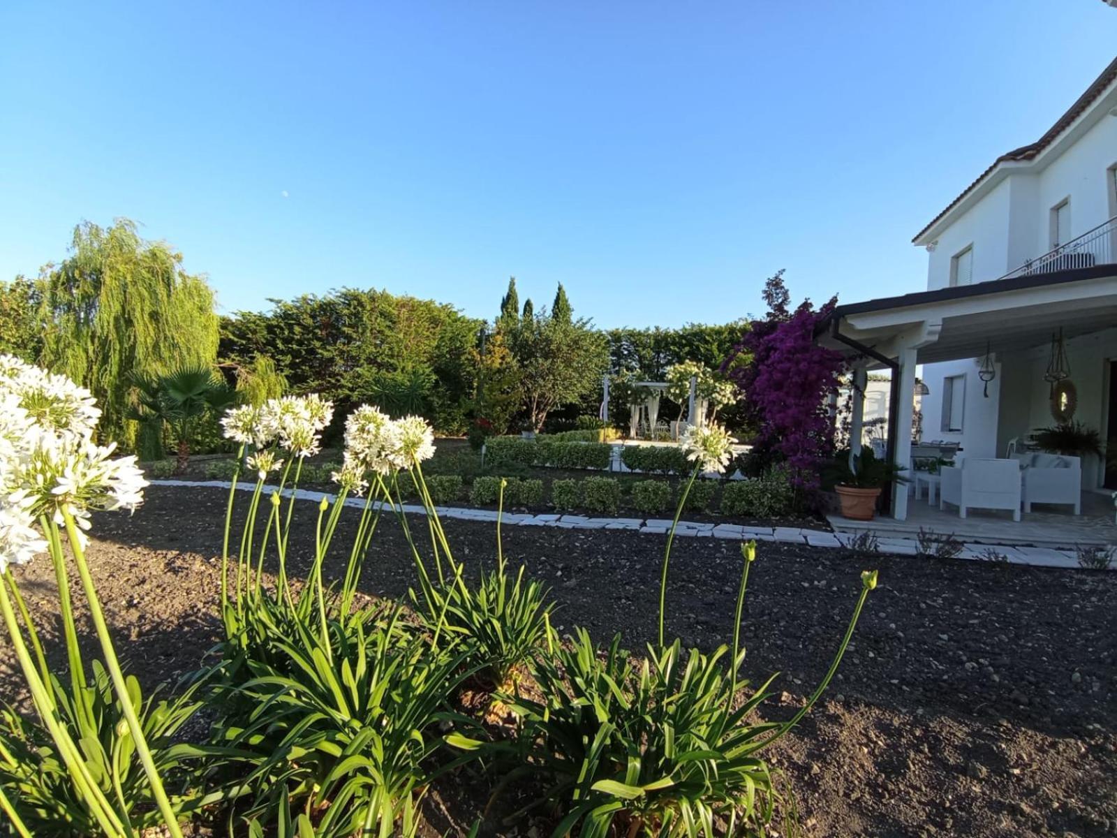 Tenuta Viale Degli Ulivi San Martino in Pensilis Exteriér fotografie