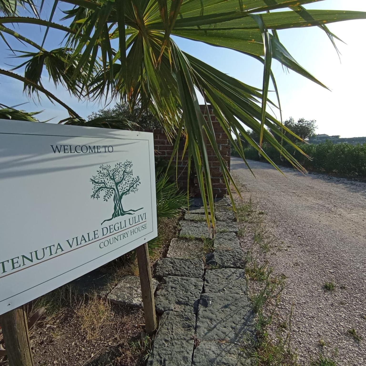 Tenuta Viale Degli Ulivi San Martino in Pensilis Exteriér fotografie