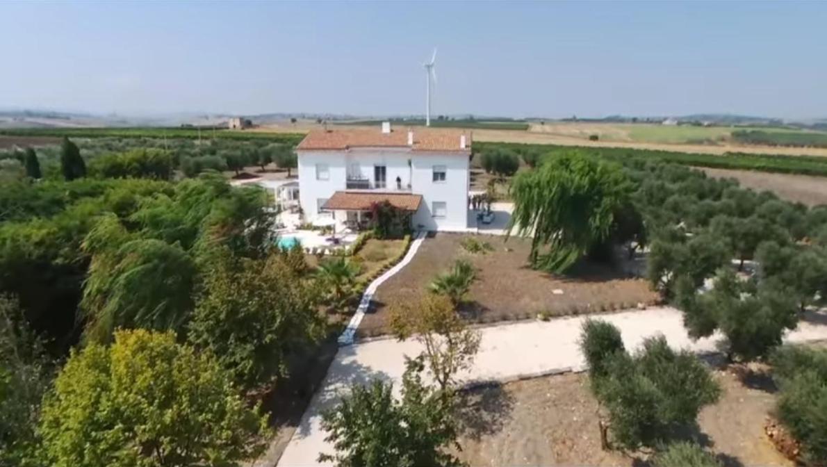 Tenuta Viale Degli Ulivi San Martino in Pensilis Exteriér fotografie