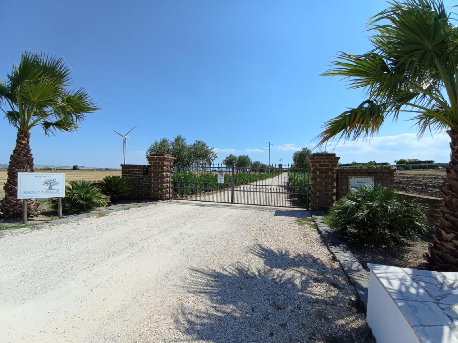Tenuta Viale Degli Ulivi San Martino in Pensilis Exteriér fotografie
