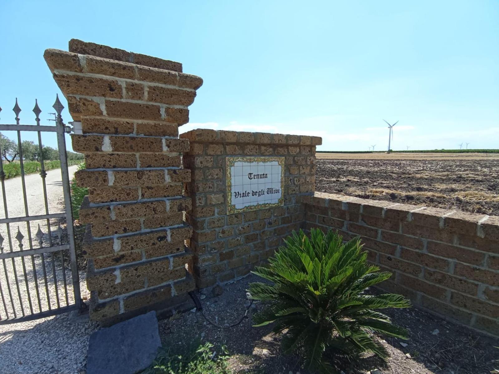 Tenuta Viale Degli Ulivi San Martino in Pensilis Exteriér fotografie
