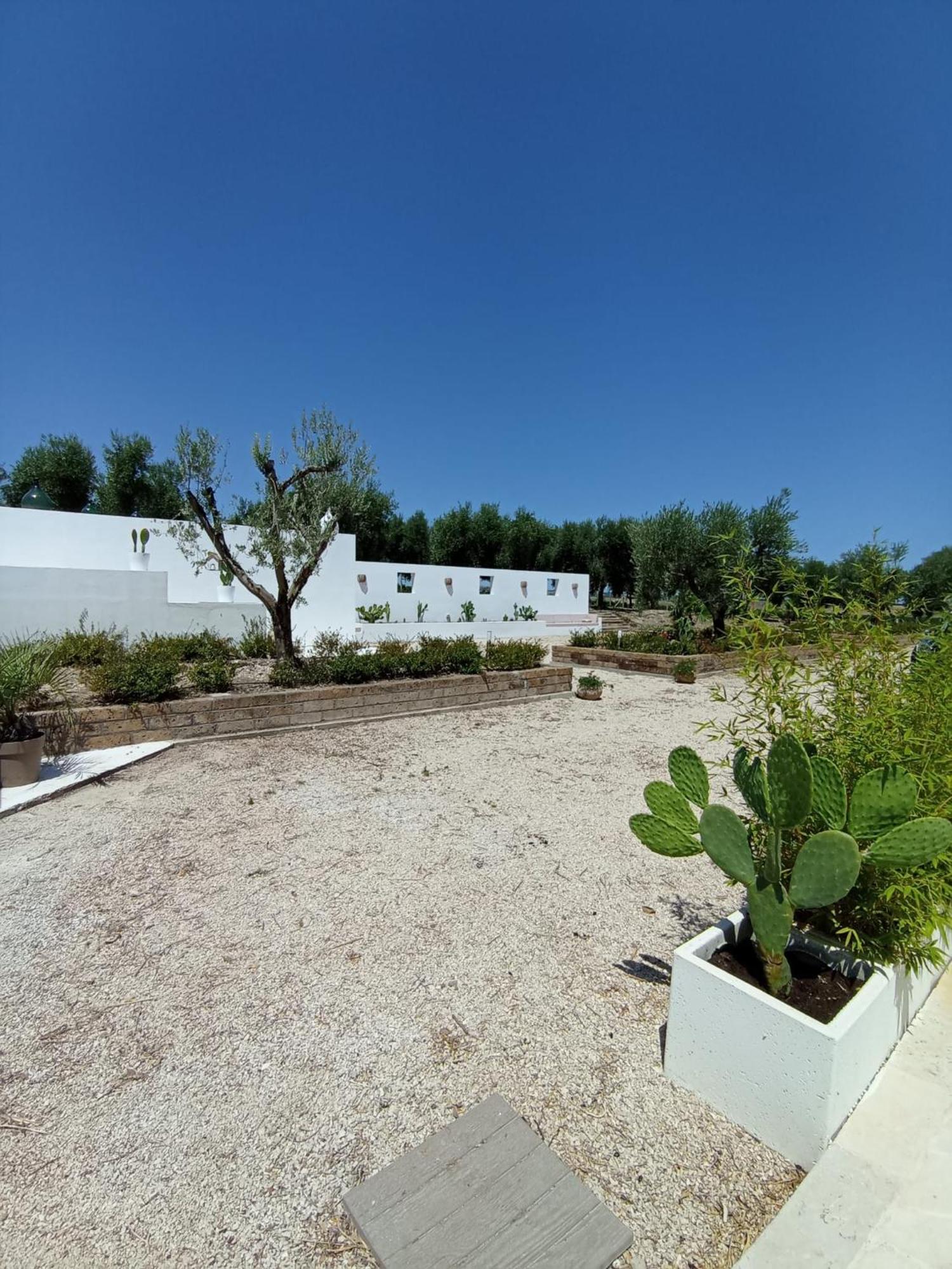 Tenuta Viale Degli Ulivi San Martino in Pensilis Exteriér fotografie