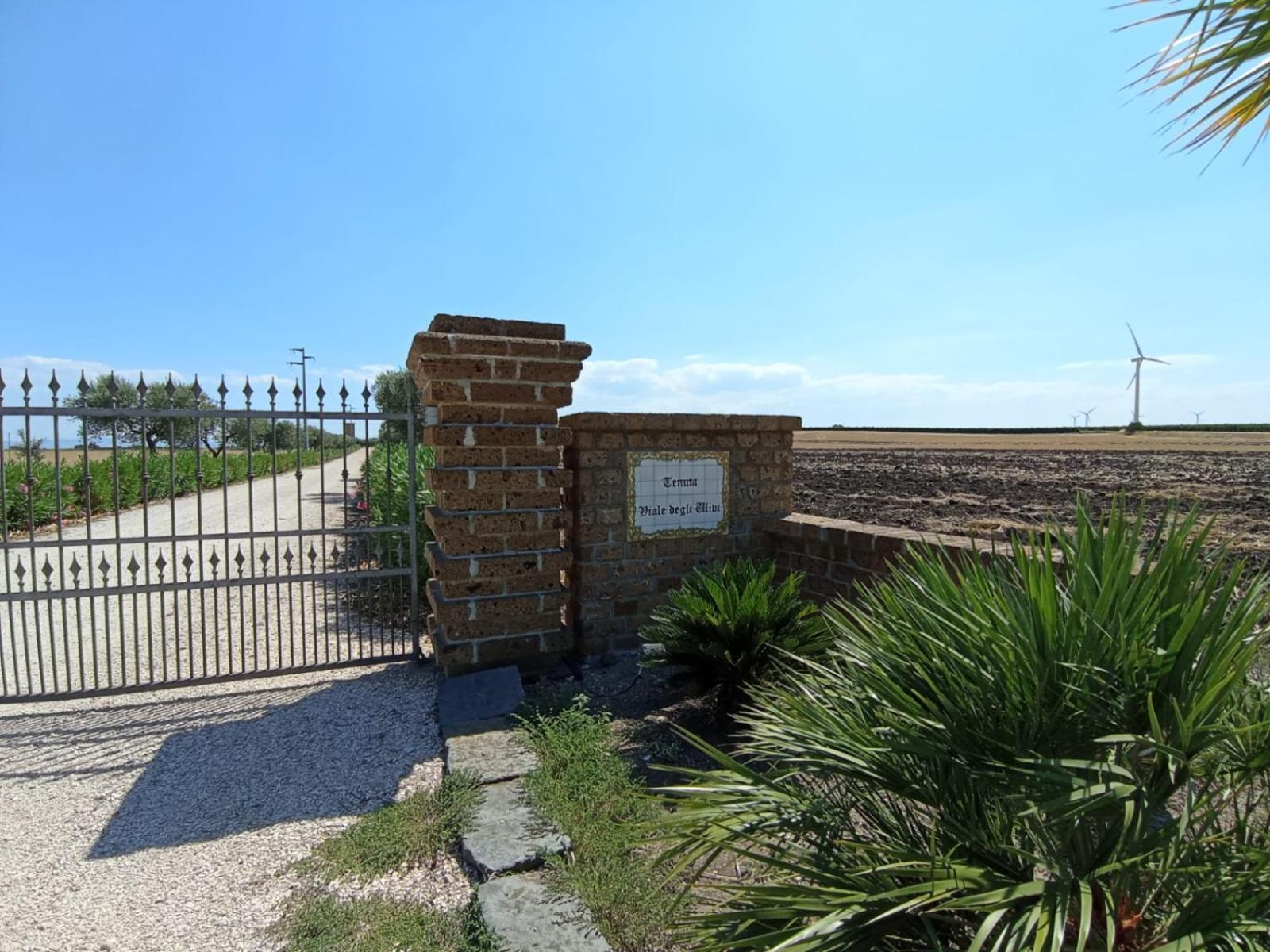 Tenuta Viale Degli Ulivi San Martino in Pensilis Exteriér fotografie