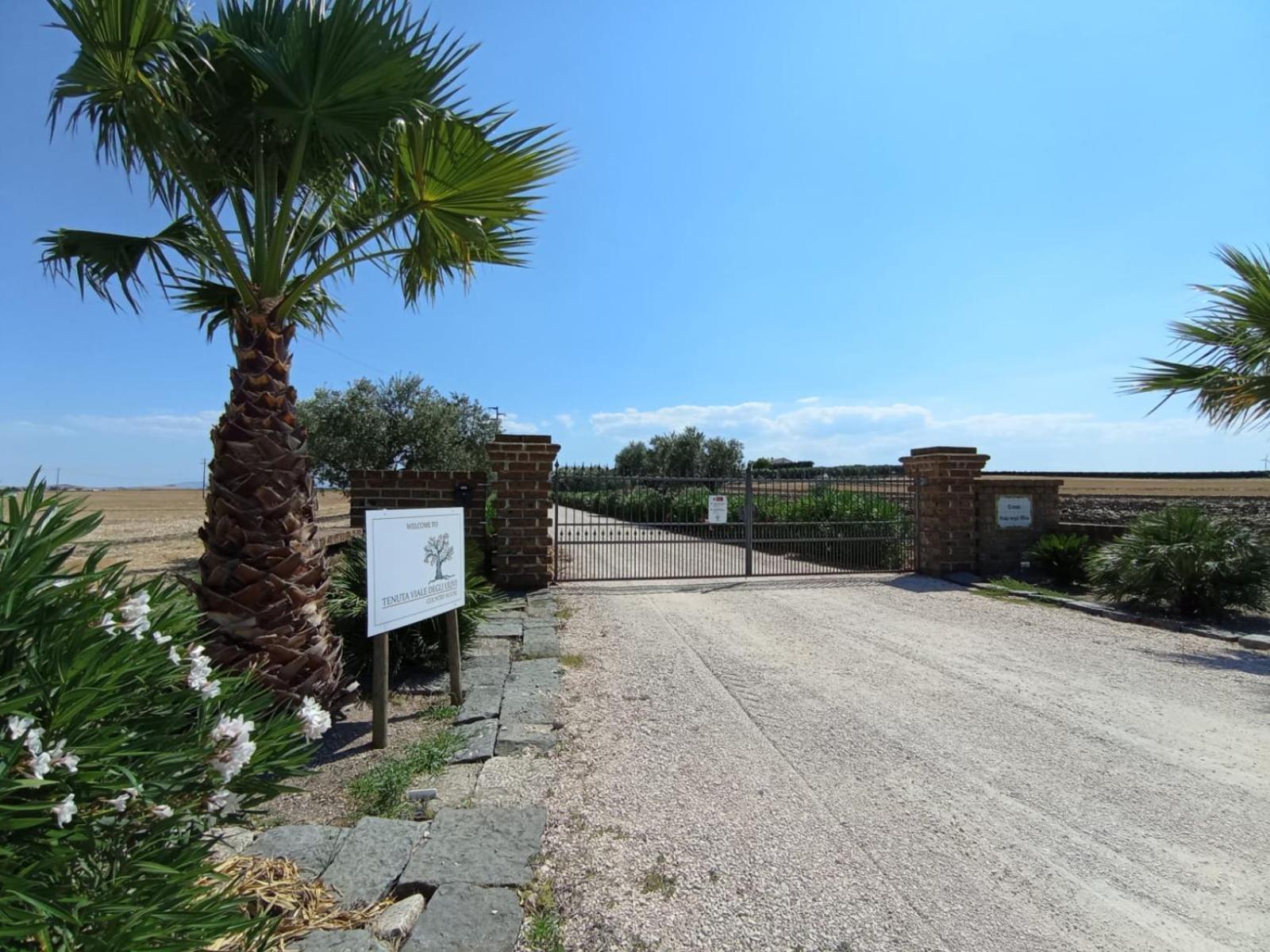 Tenuta Viale Degli Ulivi San Martino in Pensilis Exteriér fotografie