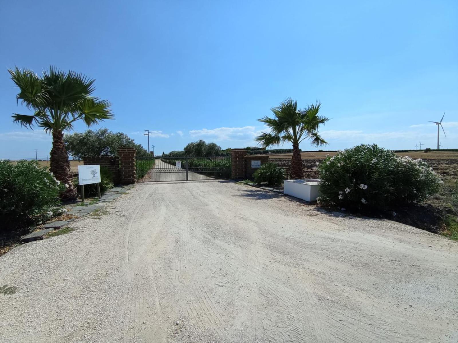 Tenuta Viale Degli Ulivi San Martino in Pensilis Exteriér fotografie